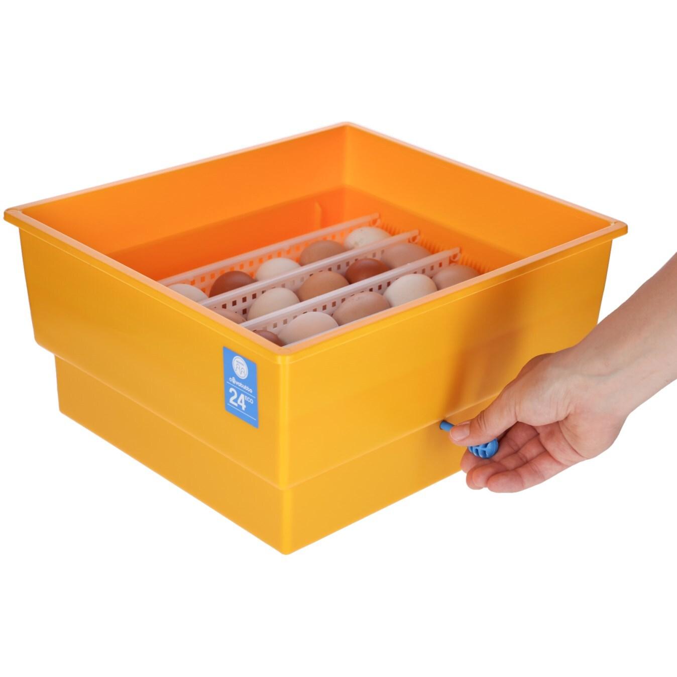 product/n/o/novital_73051_jaune_3.jpg