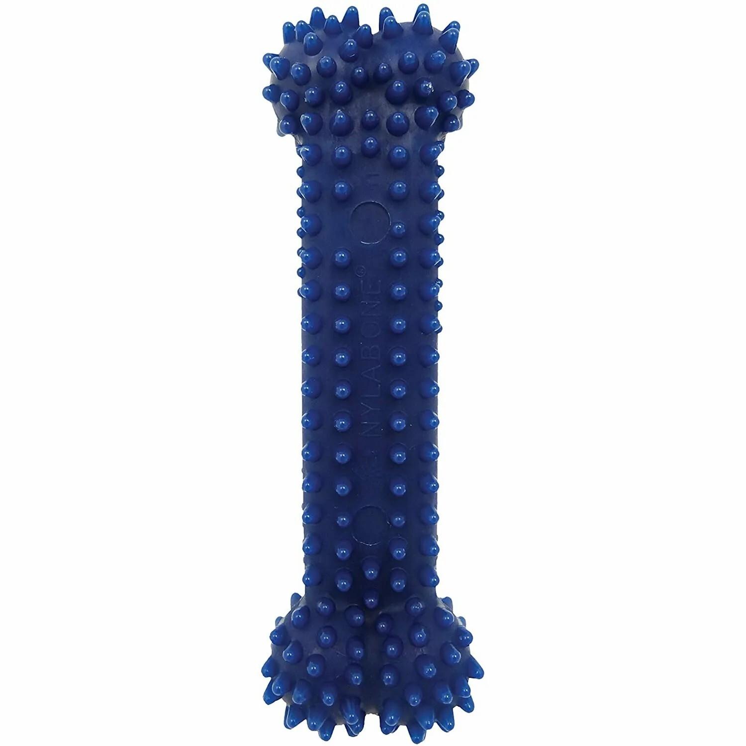 product/n/y/nylabone_981278eu.jpg
