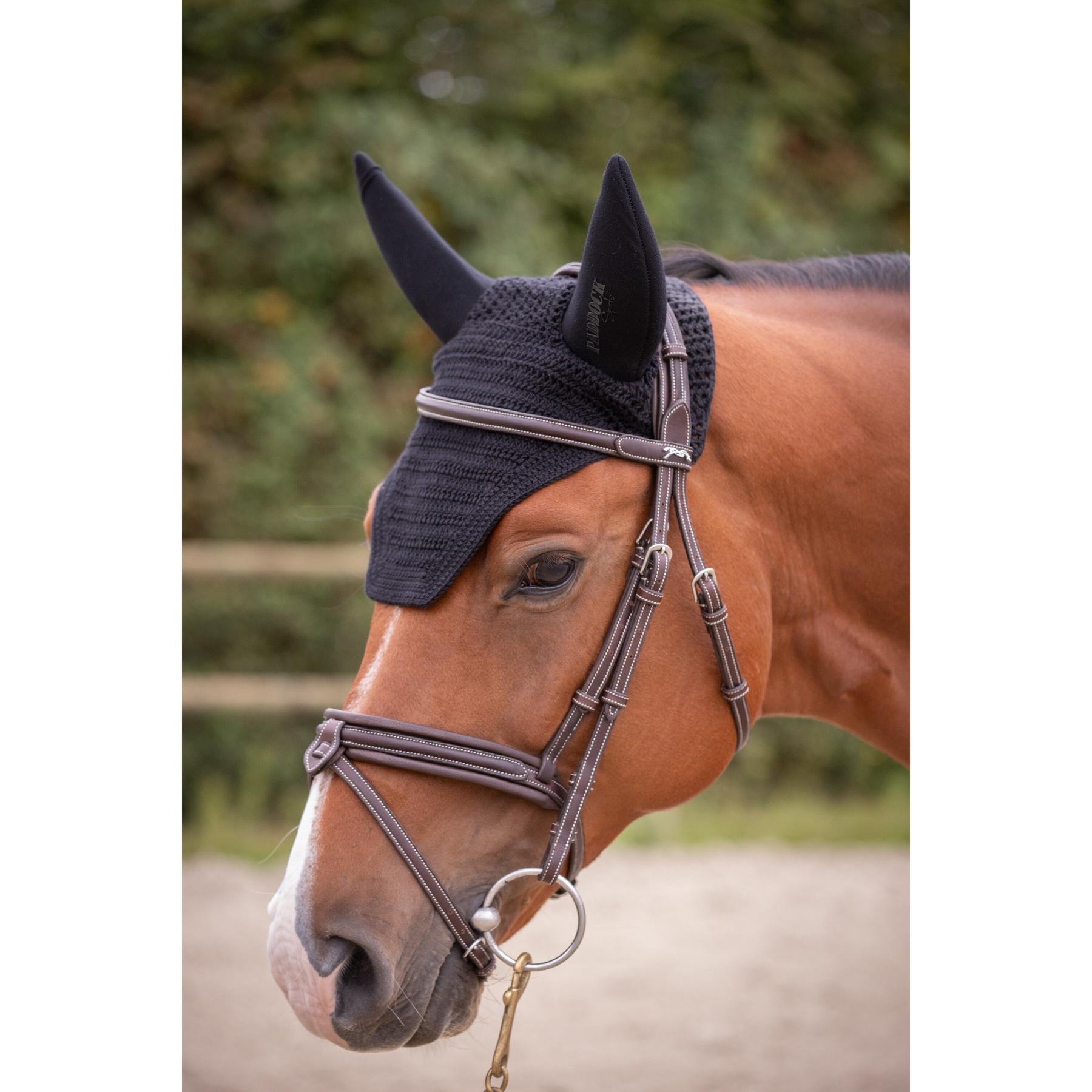 product/p/a/paddock-sports_306907002_noir_2.jpg