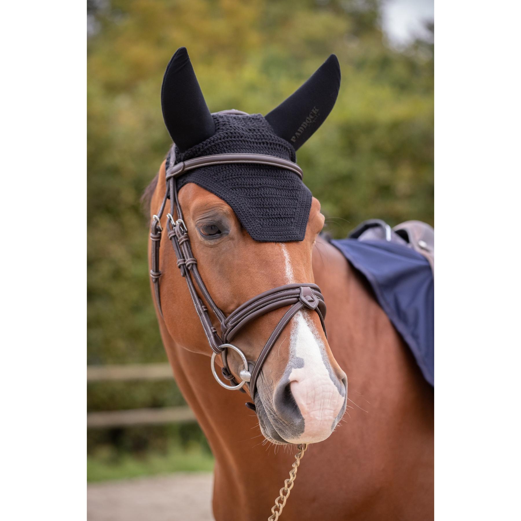 product/p/a/paddock-sports_306907002_noir_4.jpg