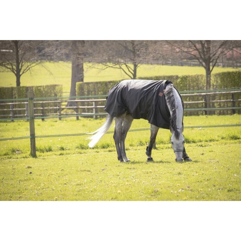 product/p/a/paddock-sports_400025259_noir_2.jpg