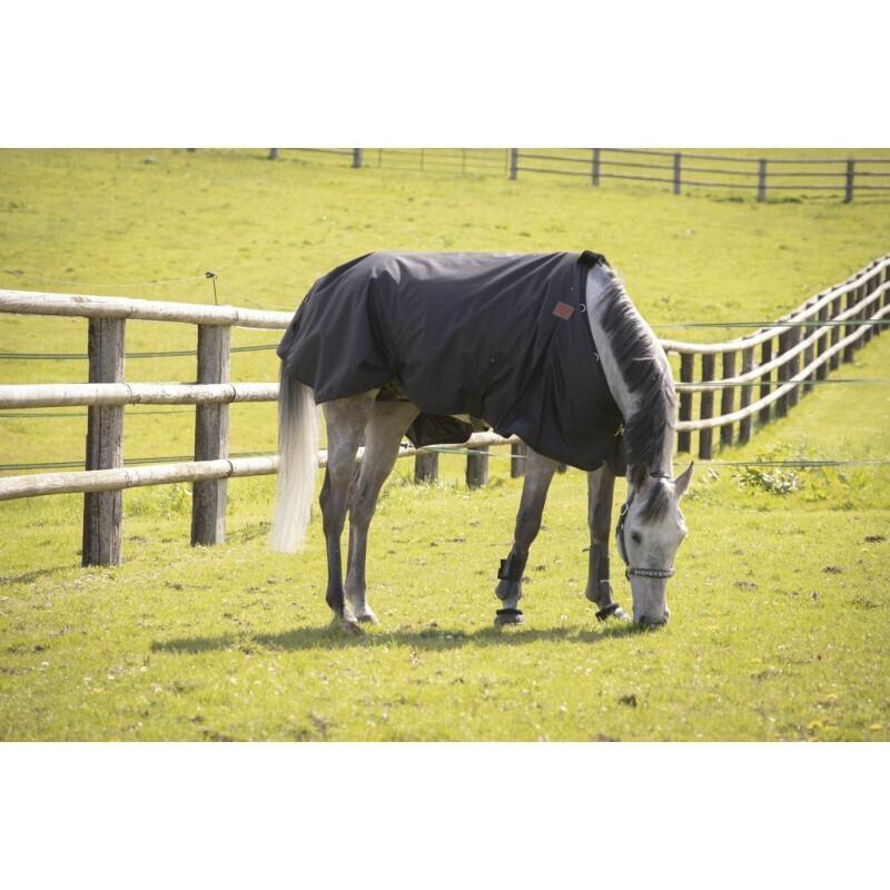 product/p/a/paddock-sports_400025259_noir_3.jpg