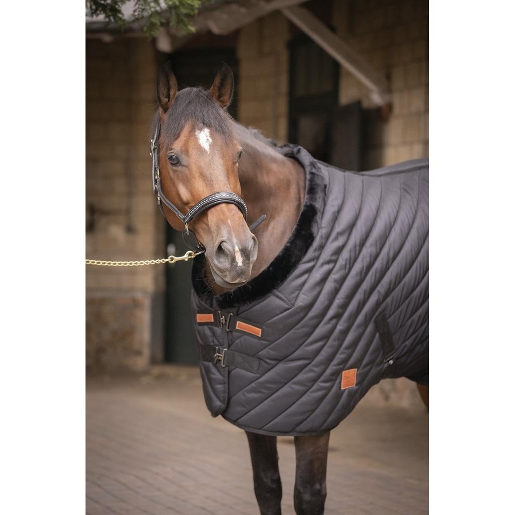 product/p/a/paddock-sports_400030259_noir_2.jpg