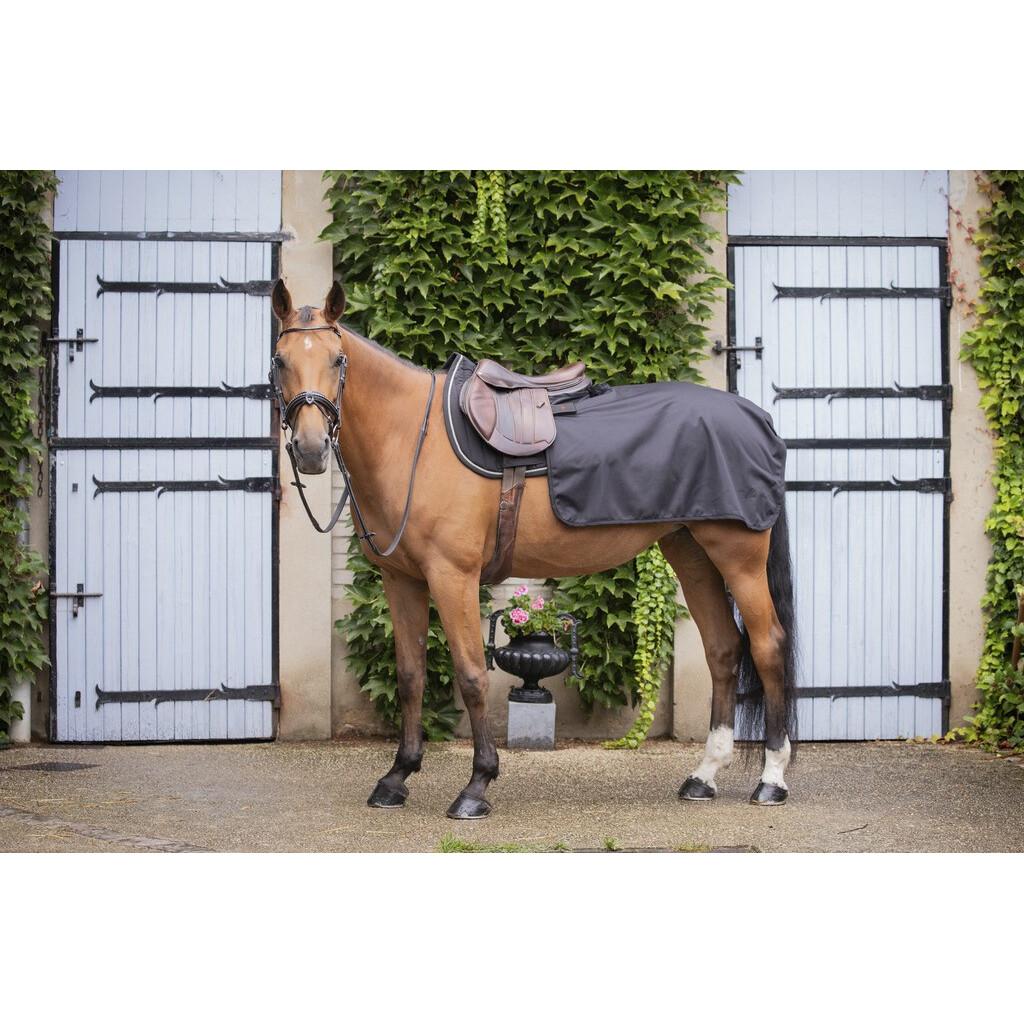 product/p/a/paddock-sports_400035072_marine_1.jpg