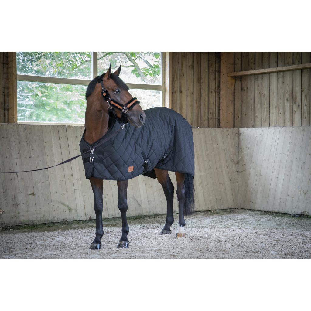 product/p/a/paddock_400013266.jpg