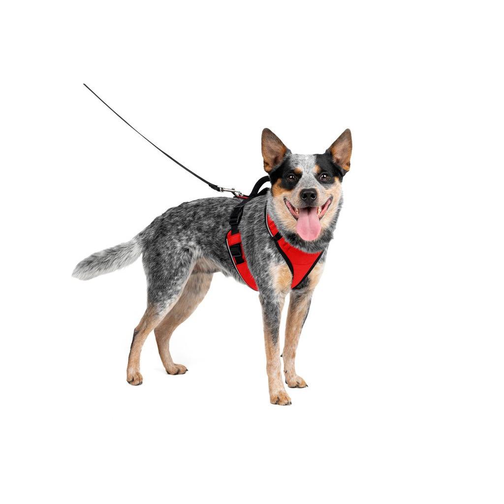 product/p/e/petsafe_cy0572_rood_3.jpg