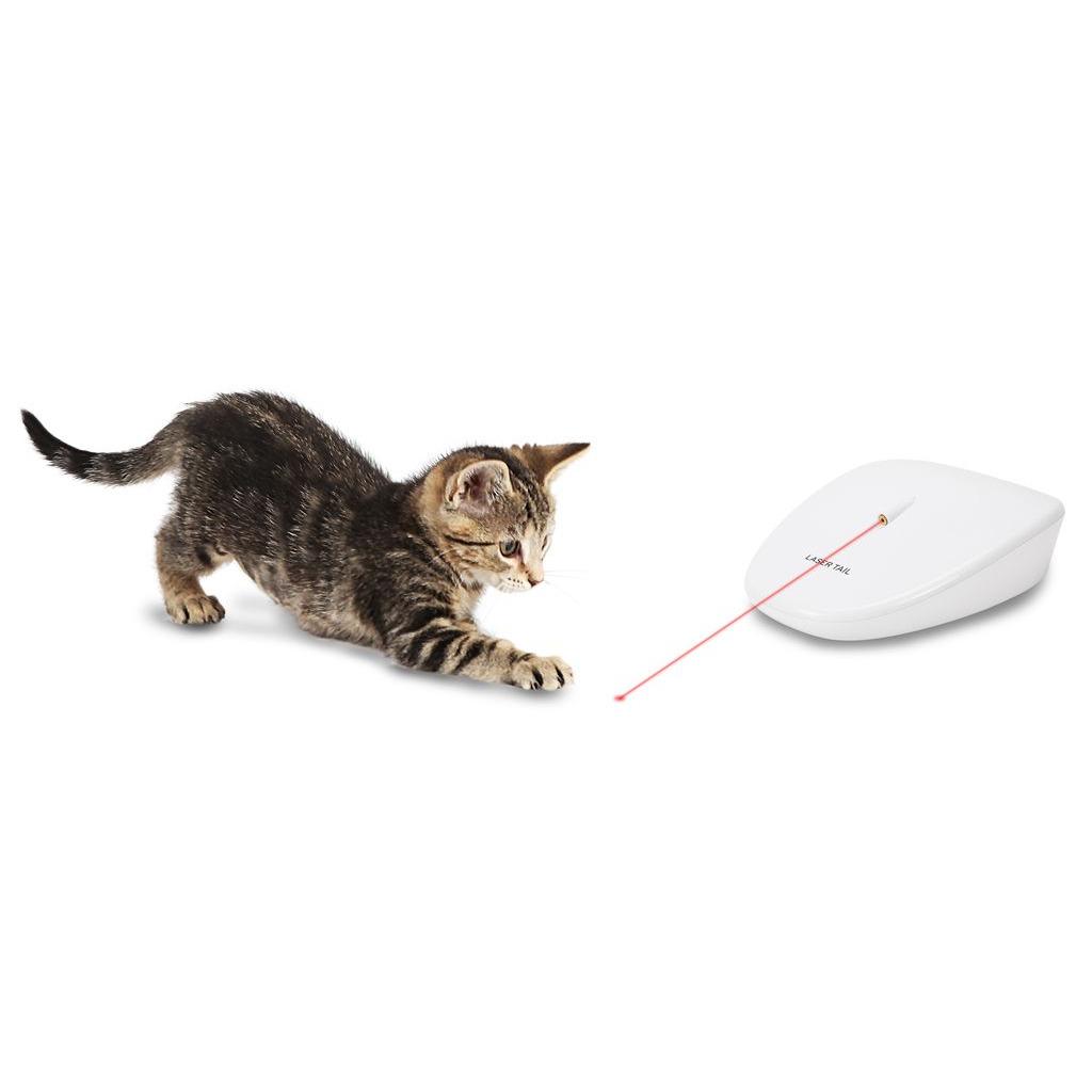 product/p/e/petsafe_cy0599_2.jpg