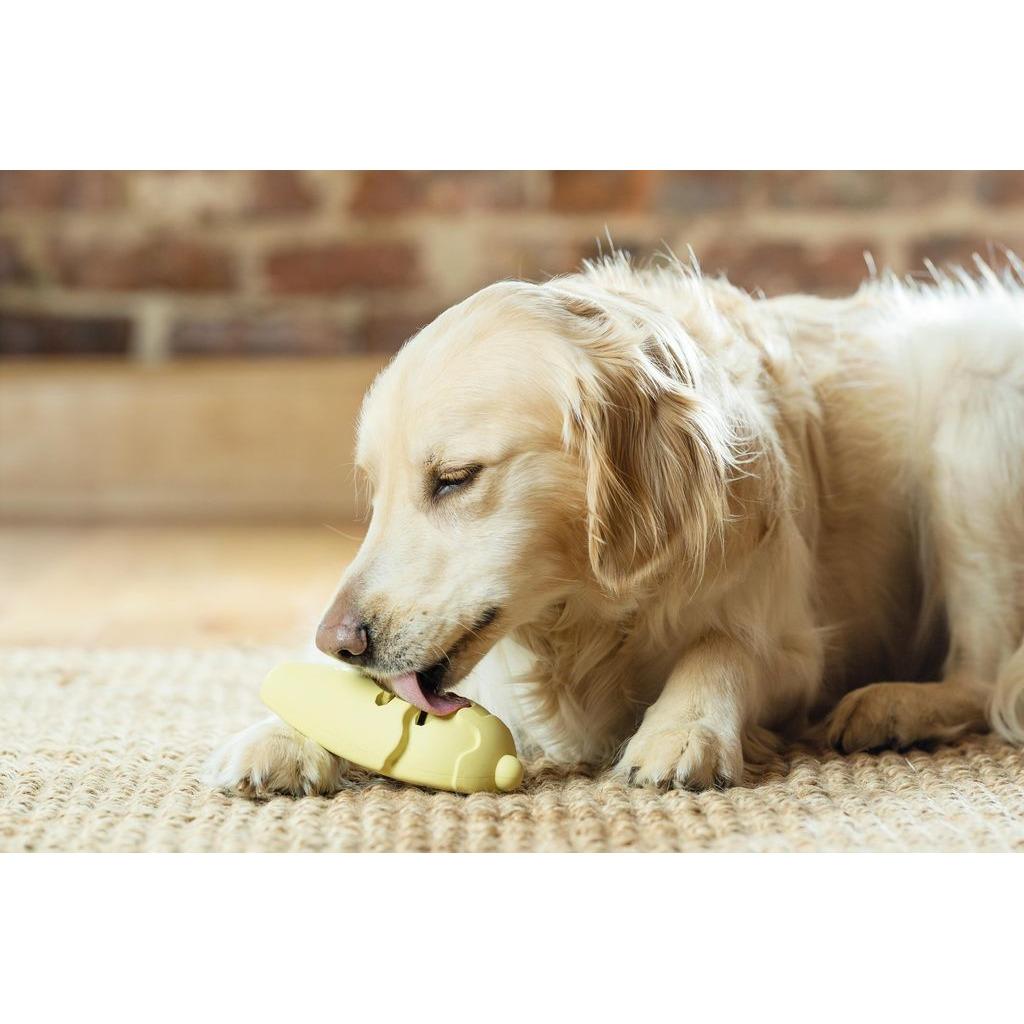 product/p/e/petsafe_cy0604_1.jpg