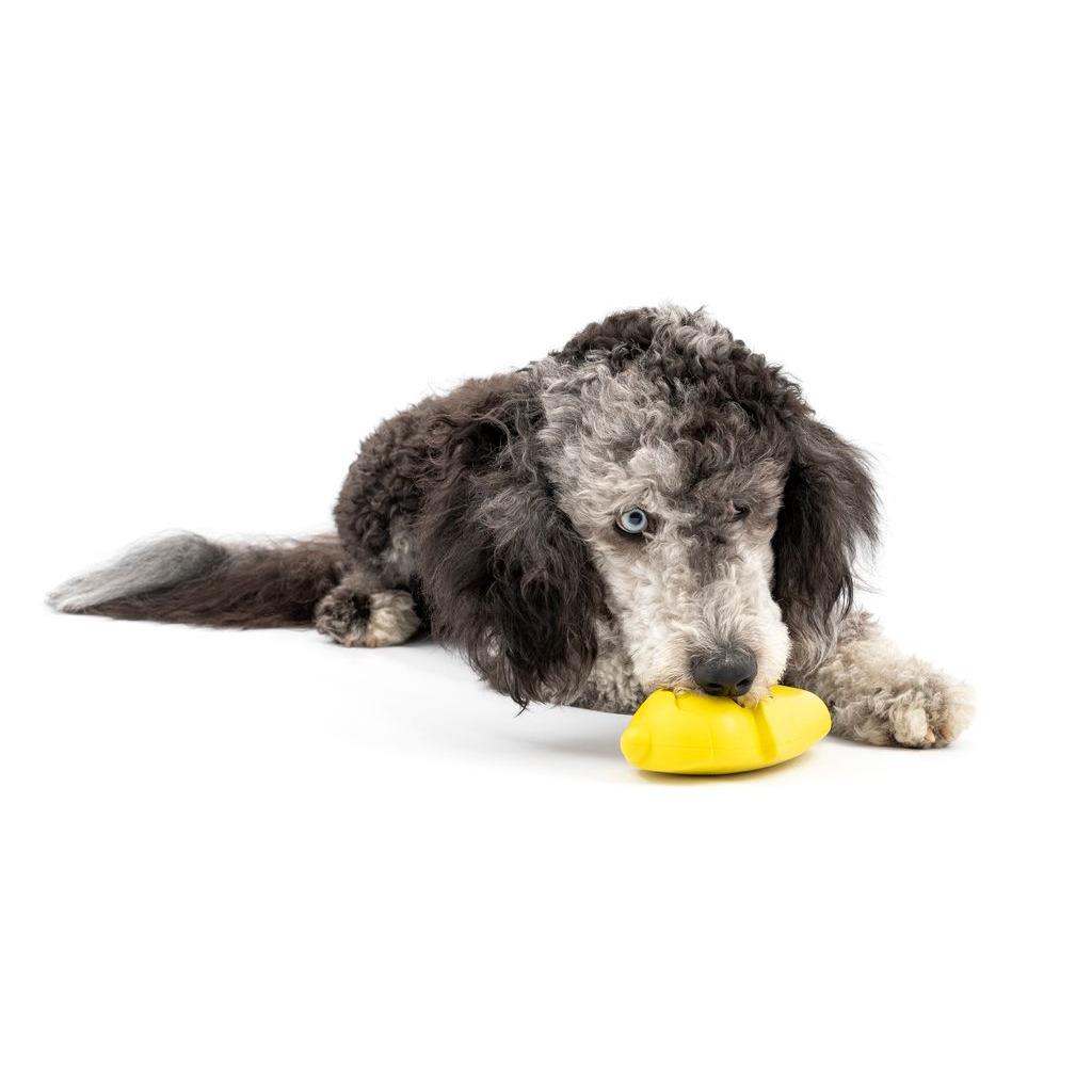 product/p/e/petsafe_cy0604_3.jpg