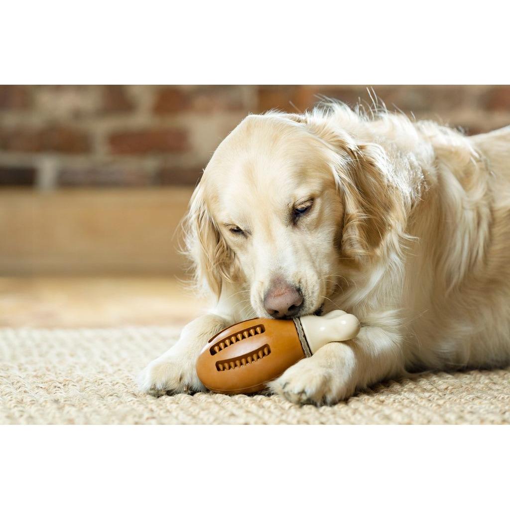 product/p/e/petsafe_cy0608_4.jpg