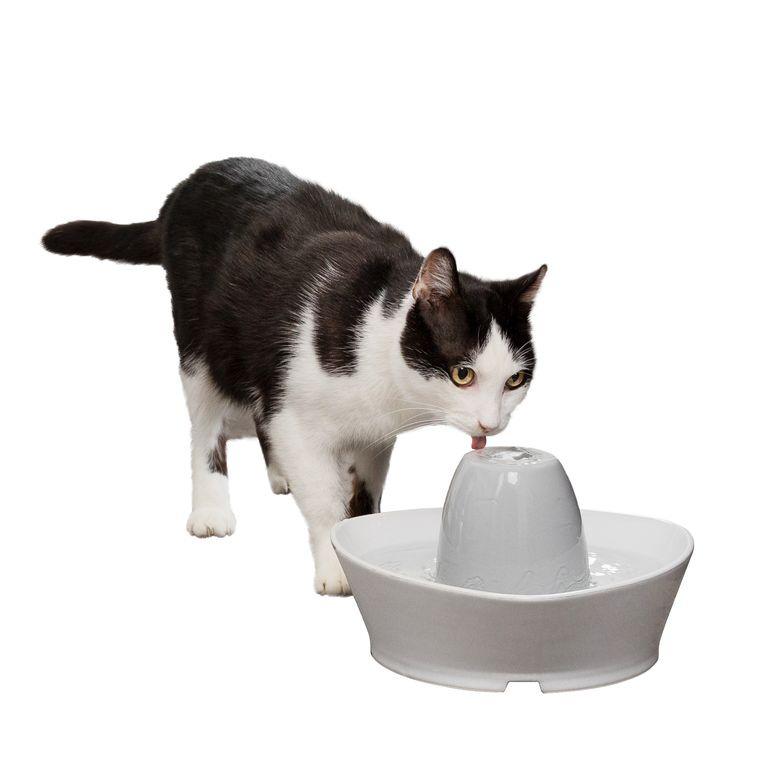 product/p/e/petsafe_cy0708_1.jpg
