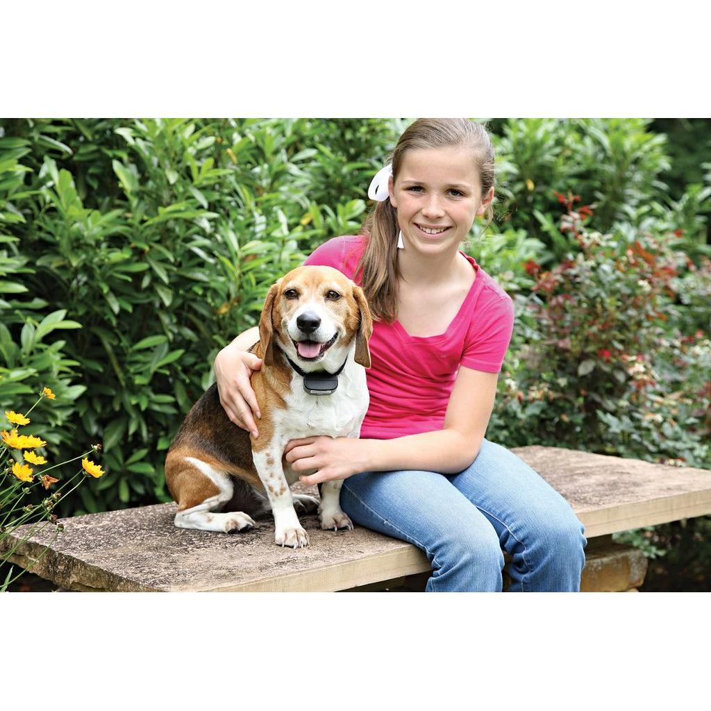 product/p/e/petsafe_cy0917_3.jpg