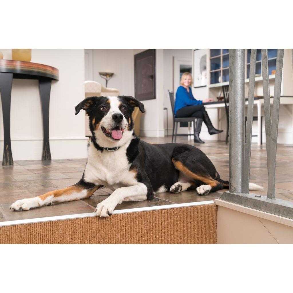 product/p/e/petsafe_cy1057_1.jpg