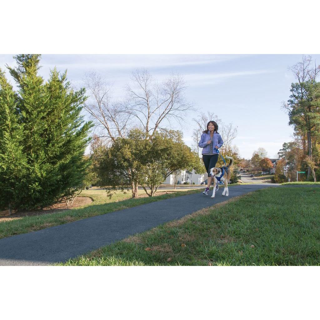 product/p/e/petsafe_cy1164_bleu_6.jpg