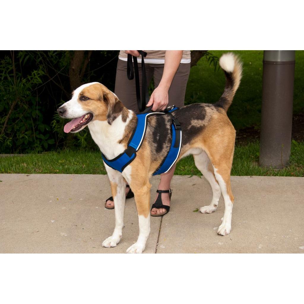 product/p/e/petsafe_cy1166_3.jpg