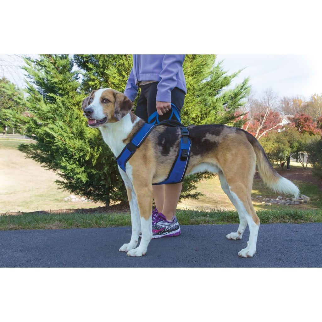 product/p/e/petsafe_cy1166_4.jpg