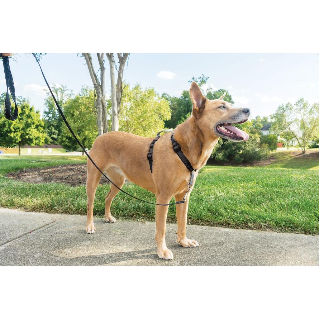 product/p/e/petsafe_cy1225_2.jpg