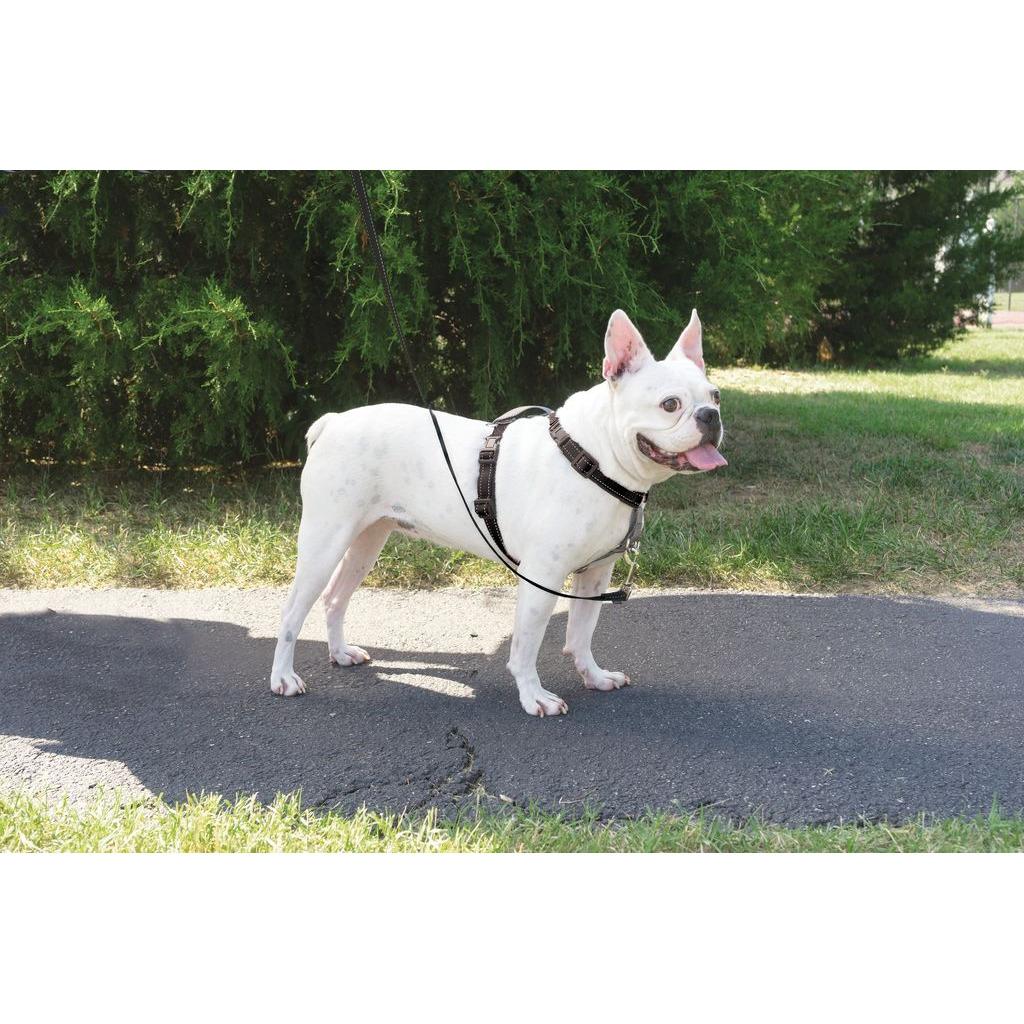 product/p/e/petsafe_cy1225_3.jpg