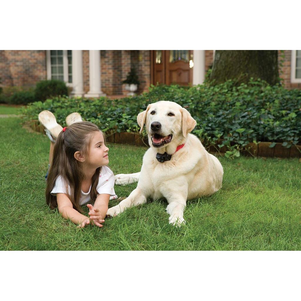 product/p/e/petsafe_cy1664_4.jpg