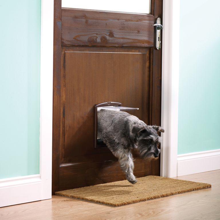 product/p/e/petsafe_cy1715_2.jpg
