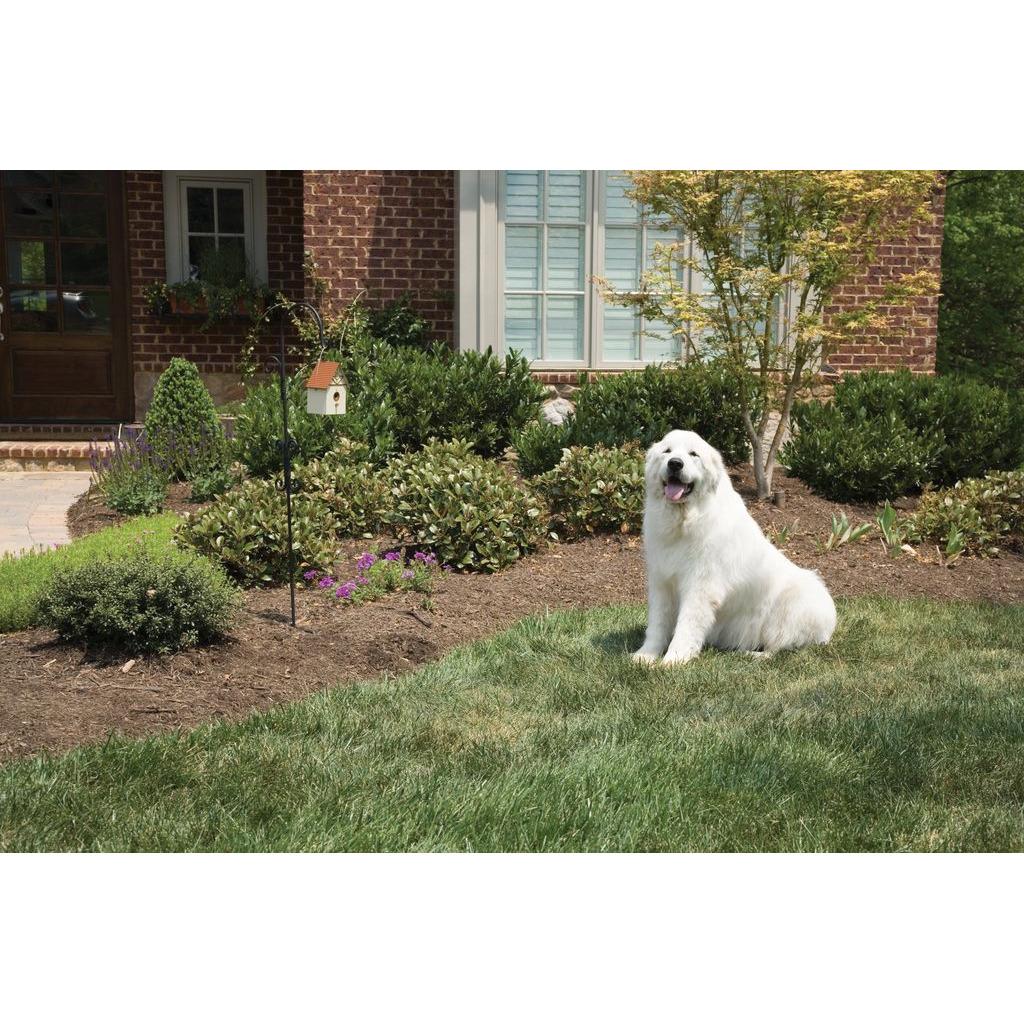 product/p/e/petsafe_cy1894_2.jpg
