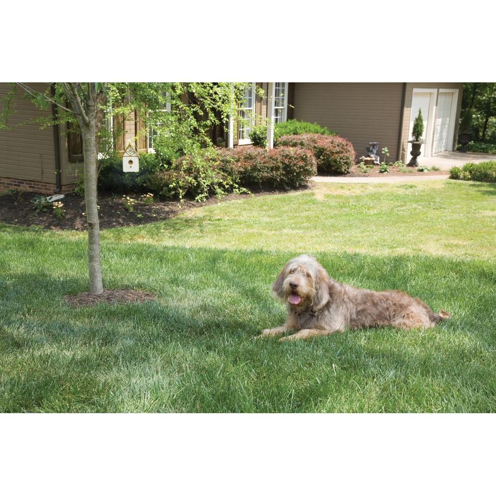 product/p/e/petsafe_cy1894_4.jpg