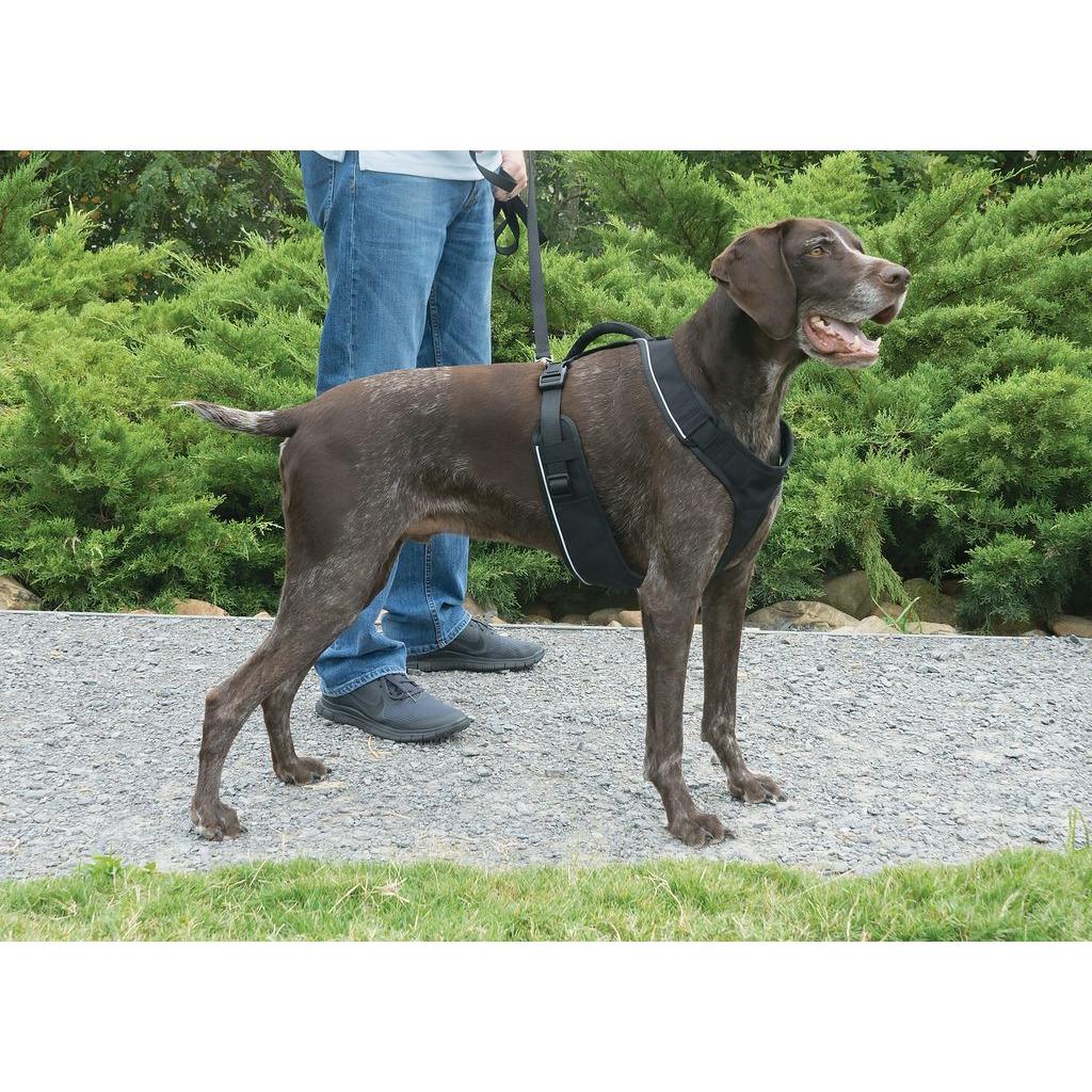 product/p/e/petsafe_cy2023_3.jpg