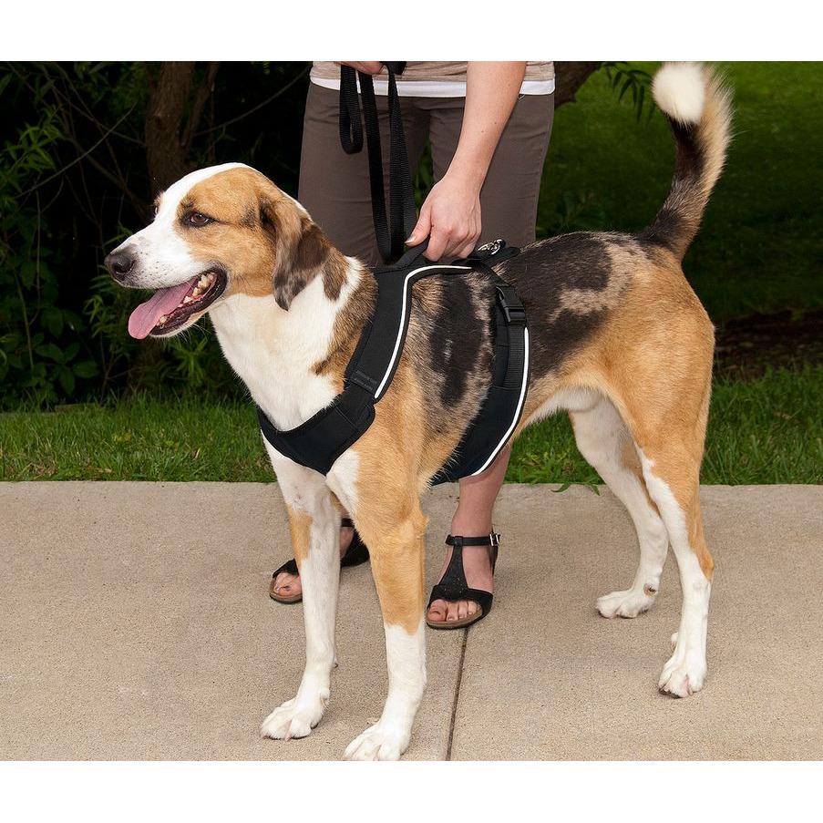 product/p/e/petsafe_cy2023_4.jpg