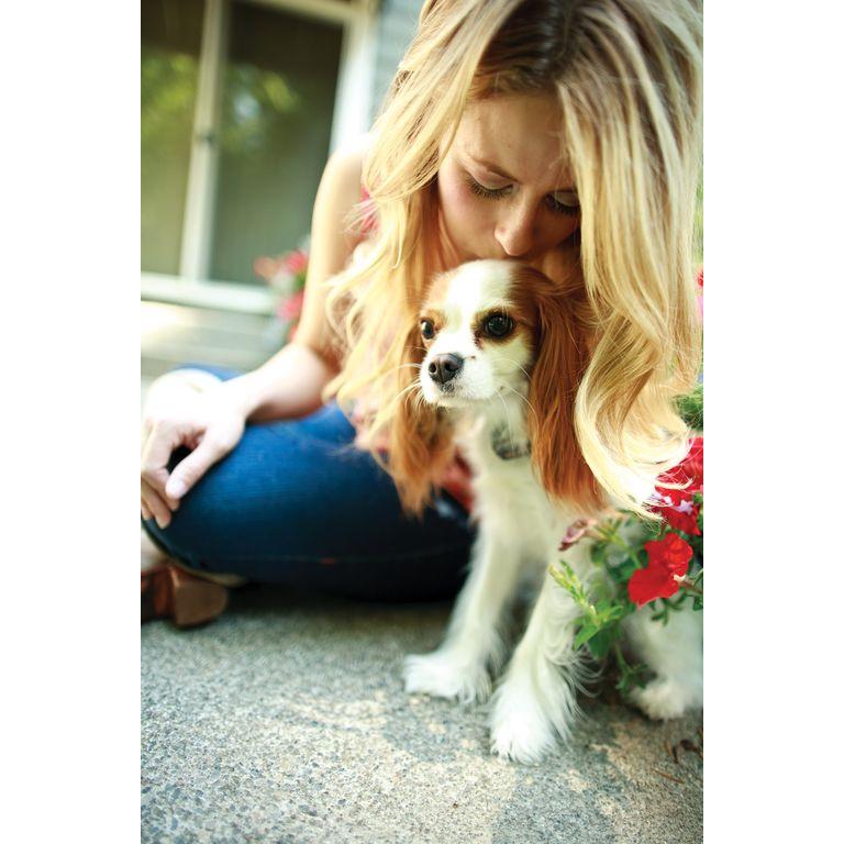 product/p/e/petsafe_cy2146_2.jpg