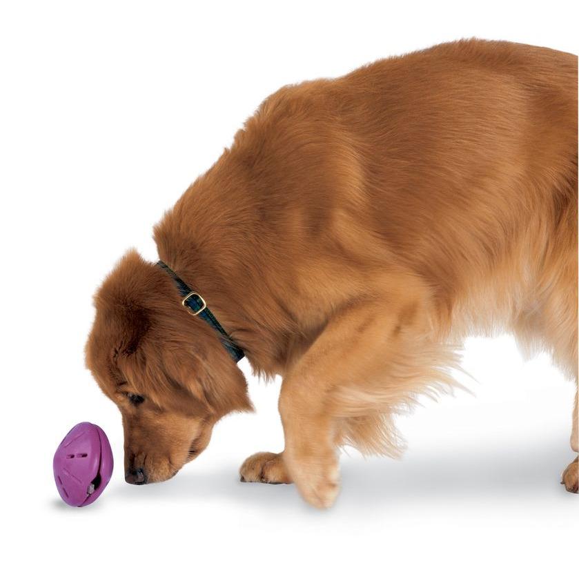 product/p/e/petsafe_cy2639_4.jpg