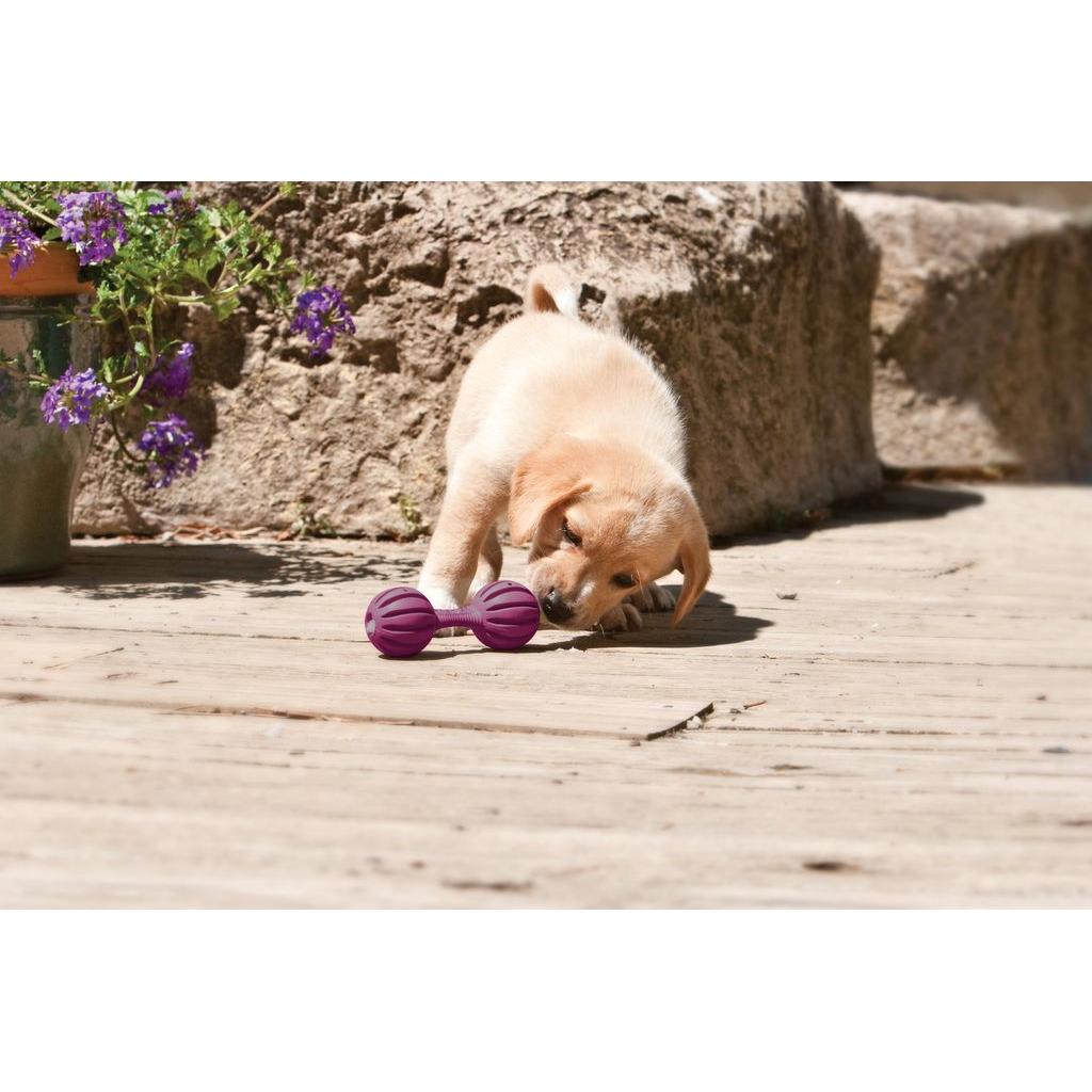 product/p/e/petsafe_cy2646_3.jpg