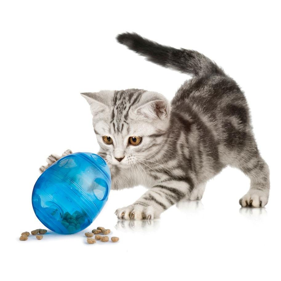 product/p/e/petsafe_cy2671_1.jpg