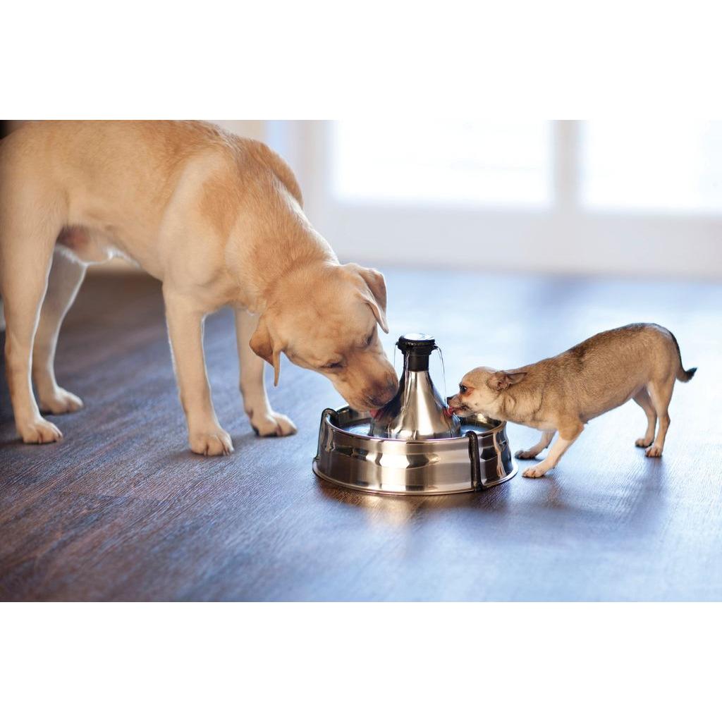 product/p/e/petsafe_cy3091_2.jpg
