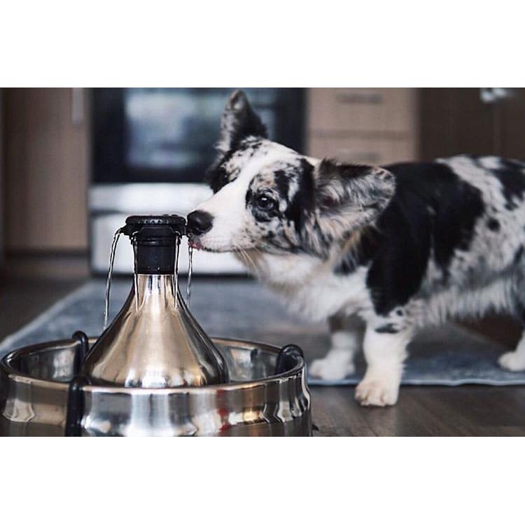 product/p/e/petsafe_cy3091_3.jpg