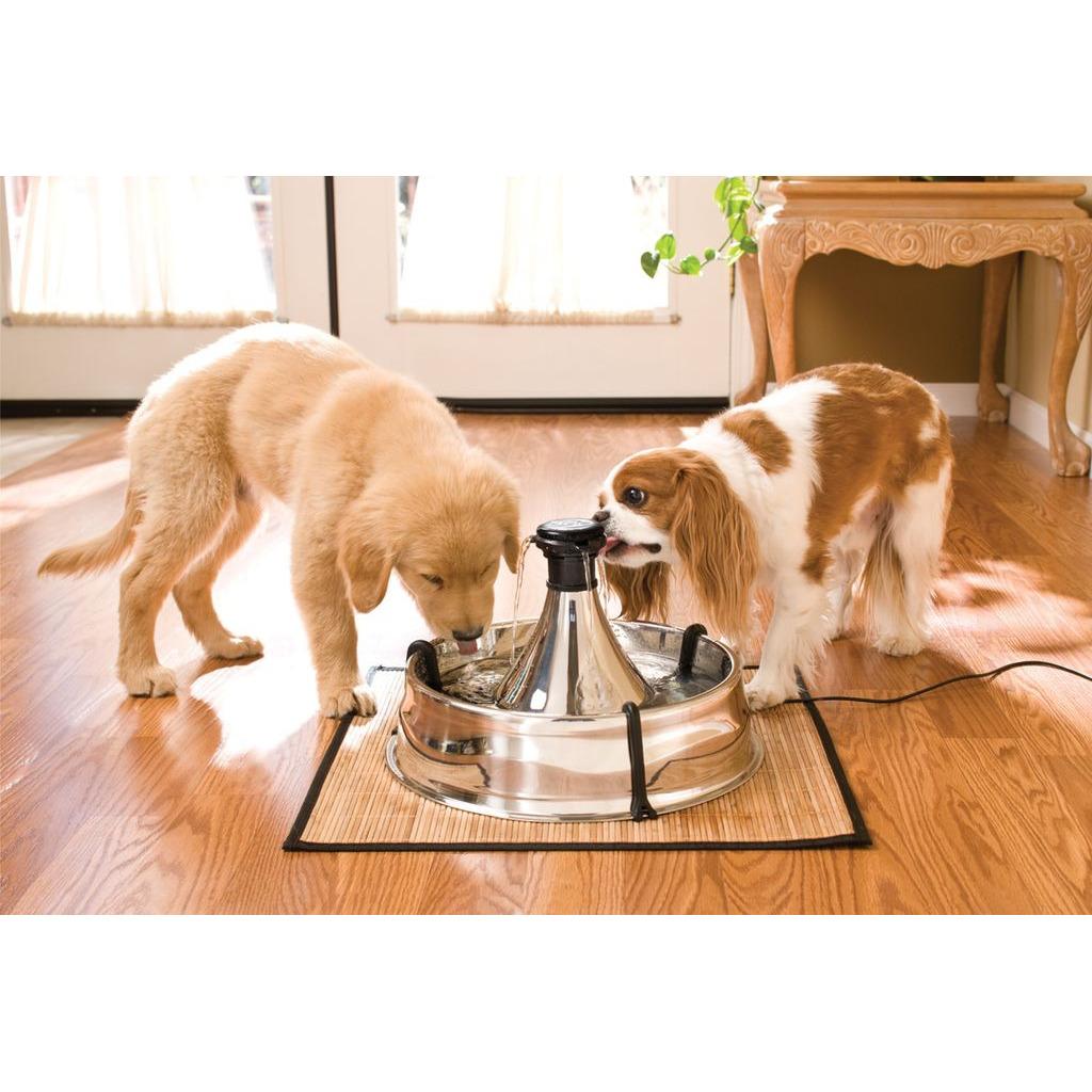 product/p/e/petsafe_cy3091_4.jpg