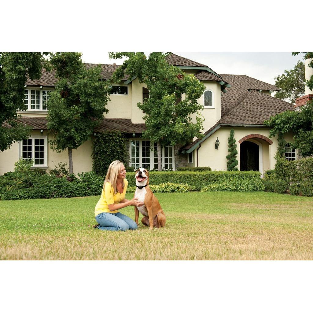 product/p/e/petsafe_cy3327_1.jpg