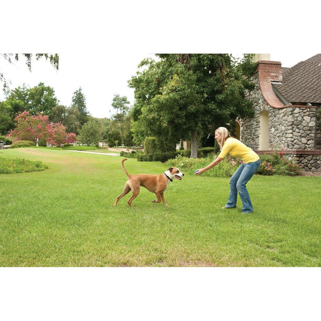 product/p/e/petsafe_cy3327_2.jpg