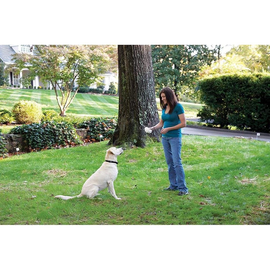 product/p/e/petsafe_cy3327_4.jpg
