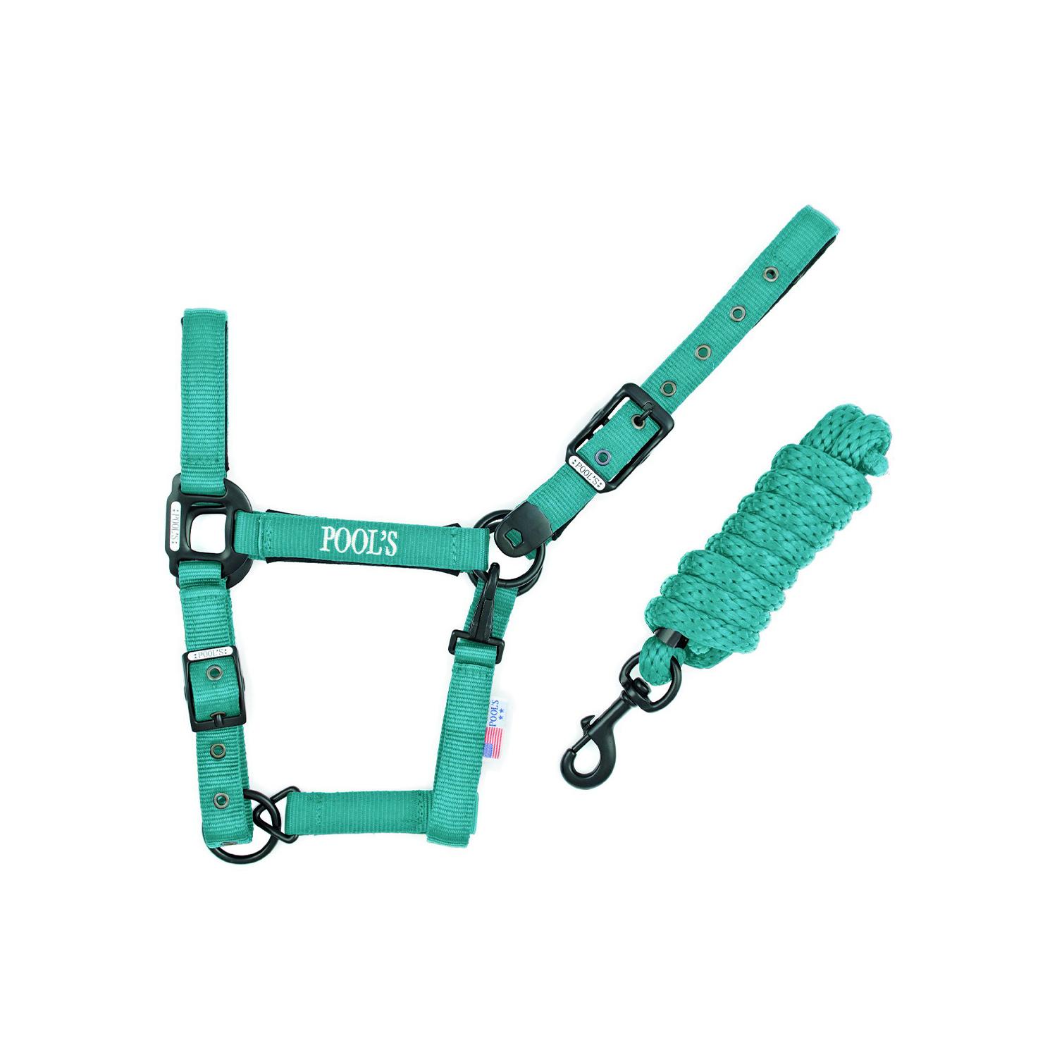 product/p/o/pool-s_ca00027k-turquoise_ca00027k-turquoise_1.jpg