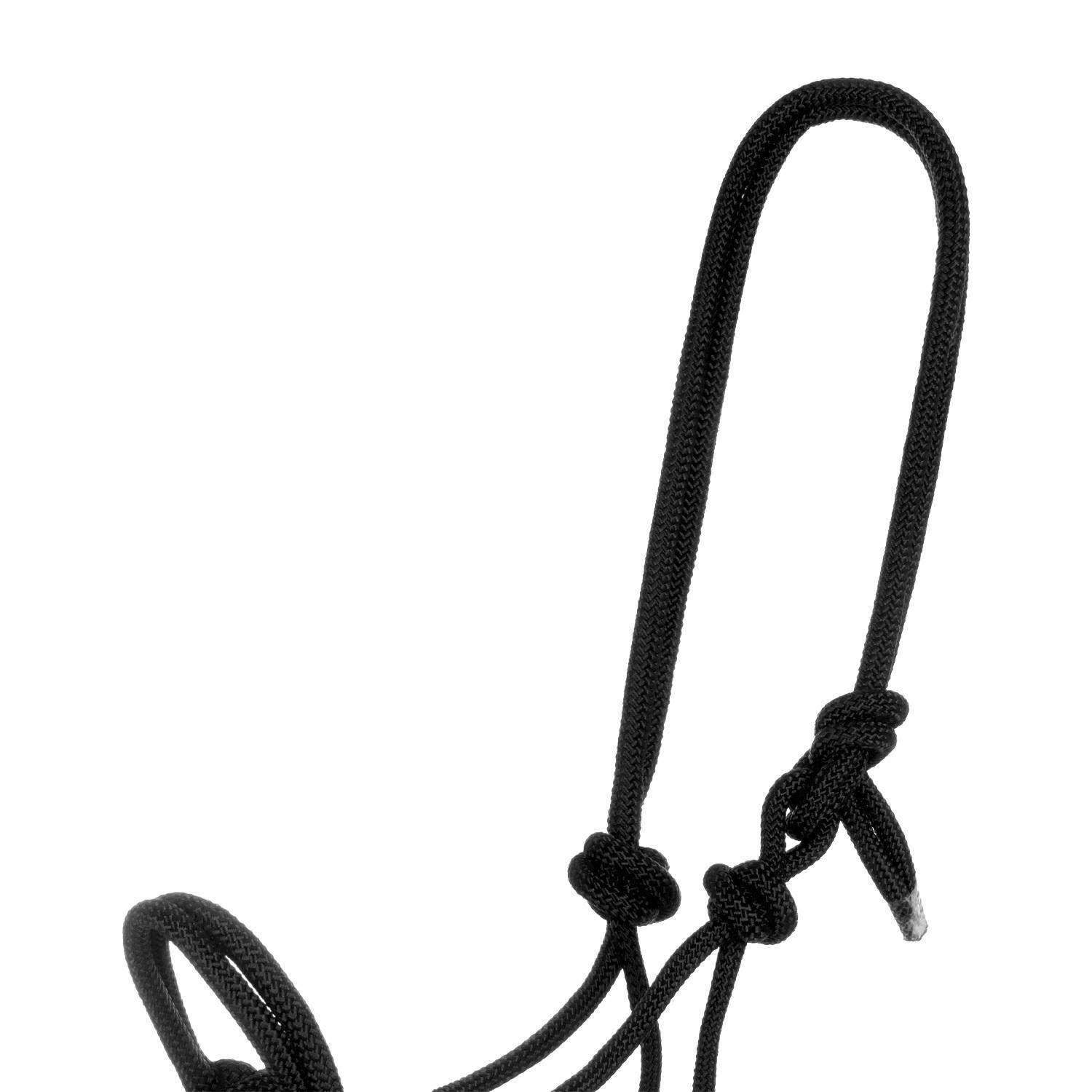 product/p/o/pool-s_ca00128-black_black_2.jpg