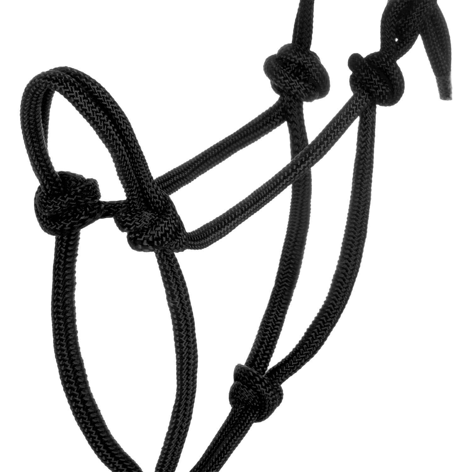 product/p/o/pool-s_ca00128-black_black_3.jpg