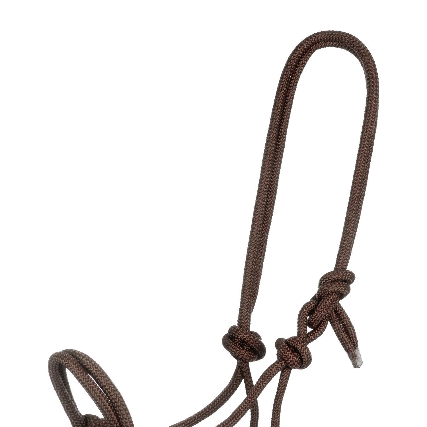 product/p/o/pool-s_ca00128-brown_brown_2.jpg