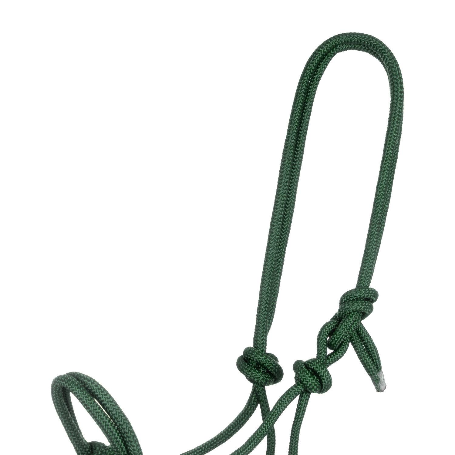 product/p/o/pool-s_ca00128-hunter-green_hunter-green_2.jpg