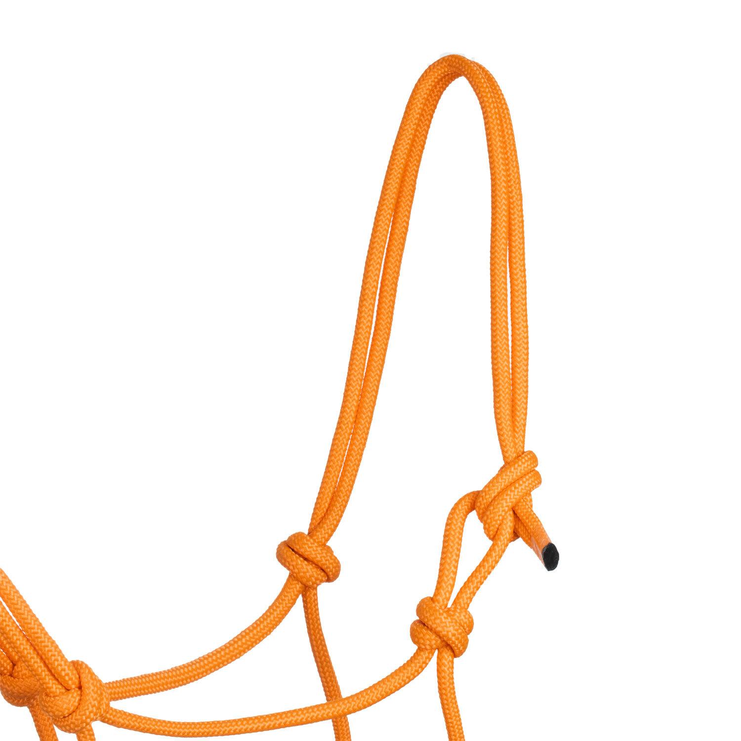 product/p/o/pool-s_ca00128-orange_orange_2.jpg