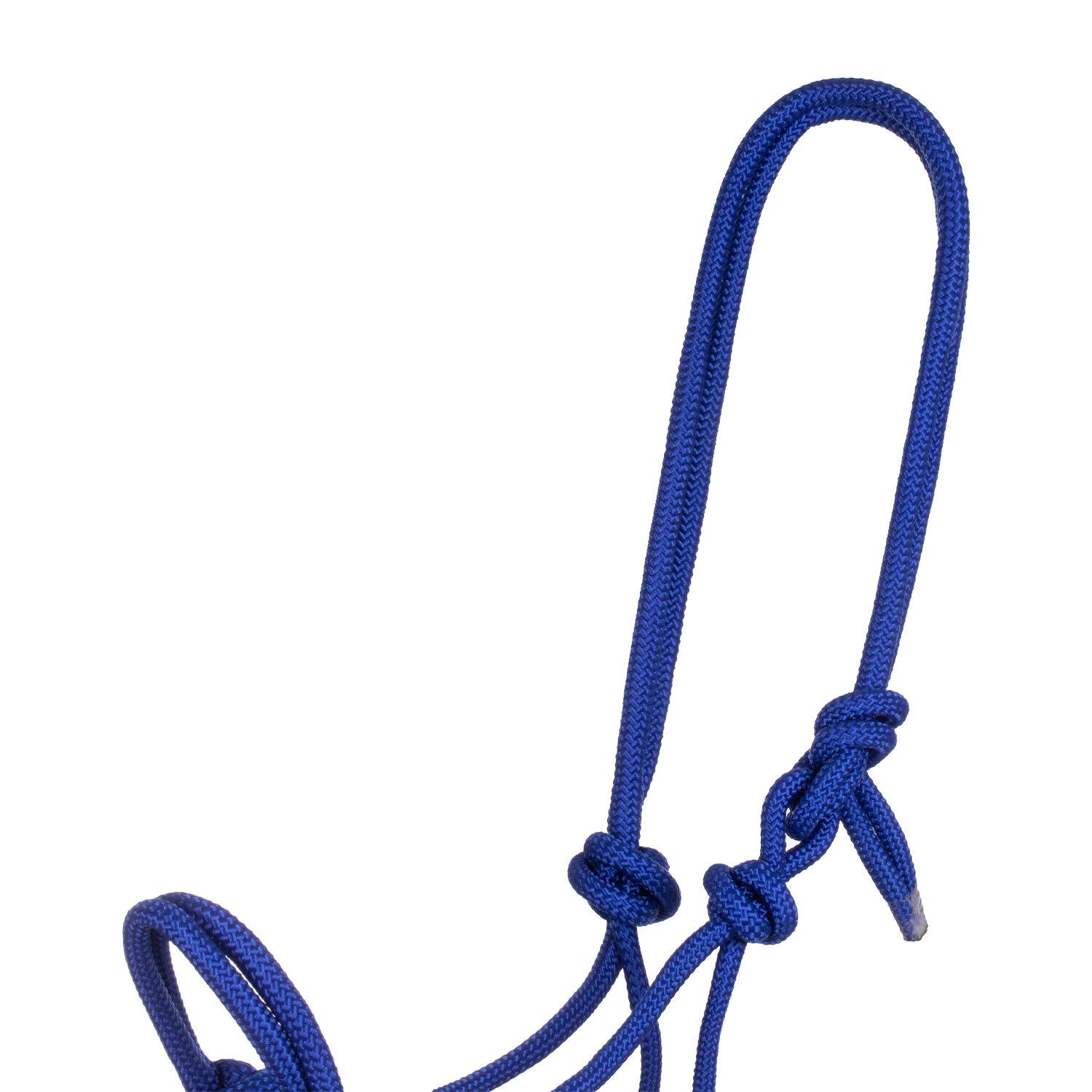 product/p/o/pool-s_ca00128-royal-blue_royal-blue_2.jpg