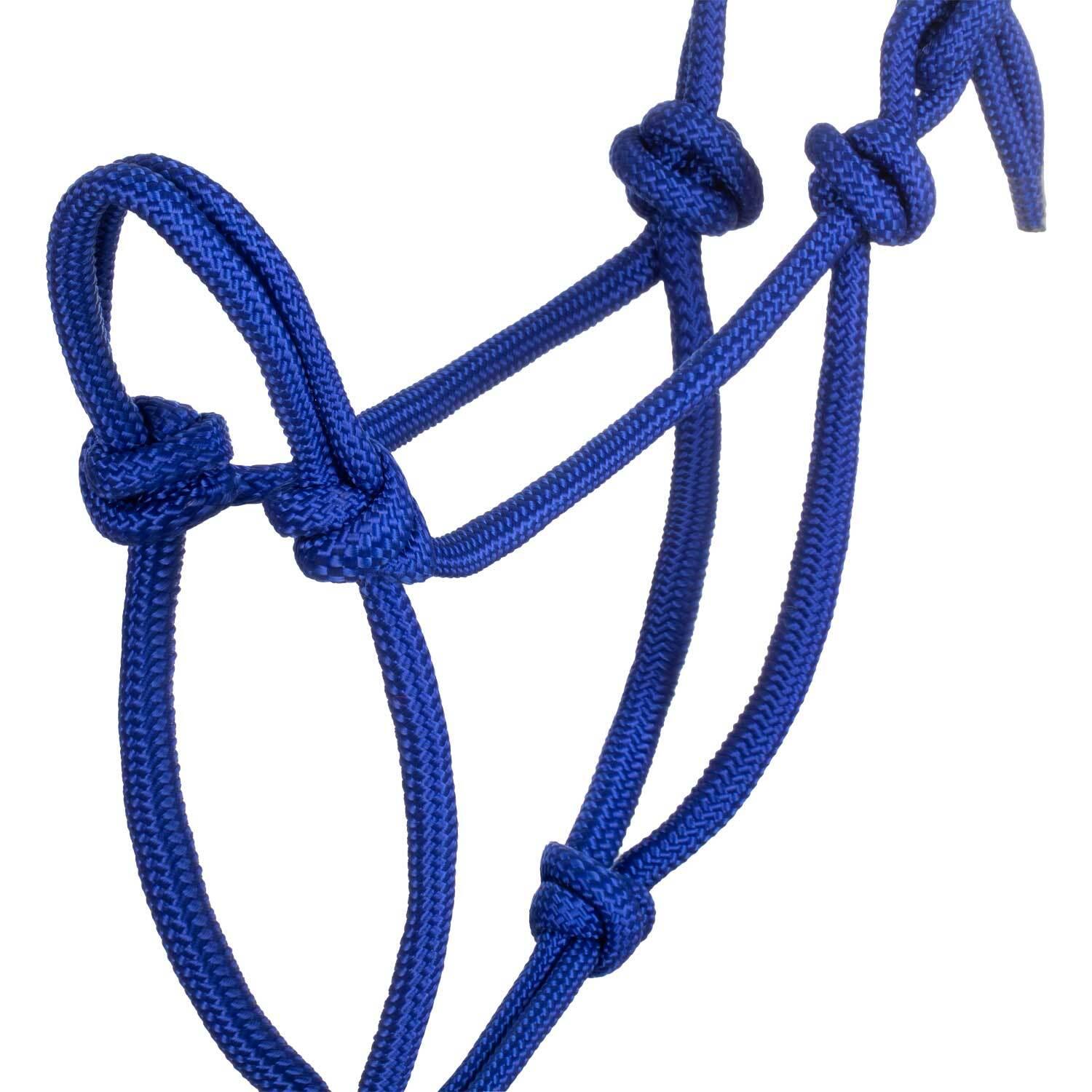 product/p/o/pool-s_ca00128-royal-blue_royal-blue_3.jpg