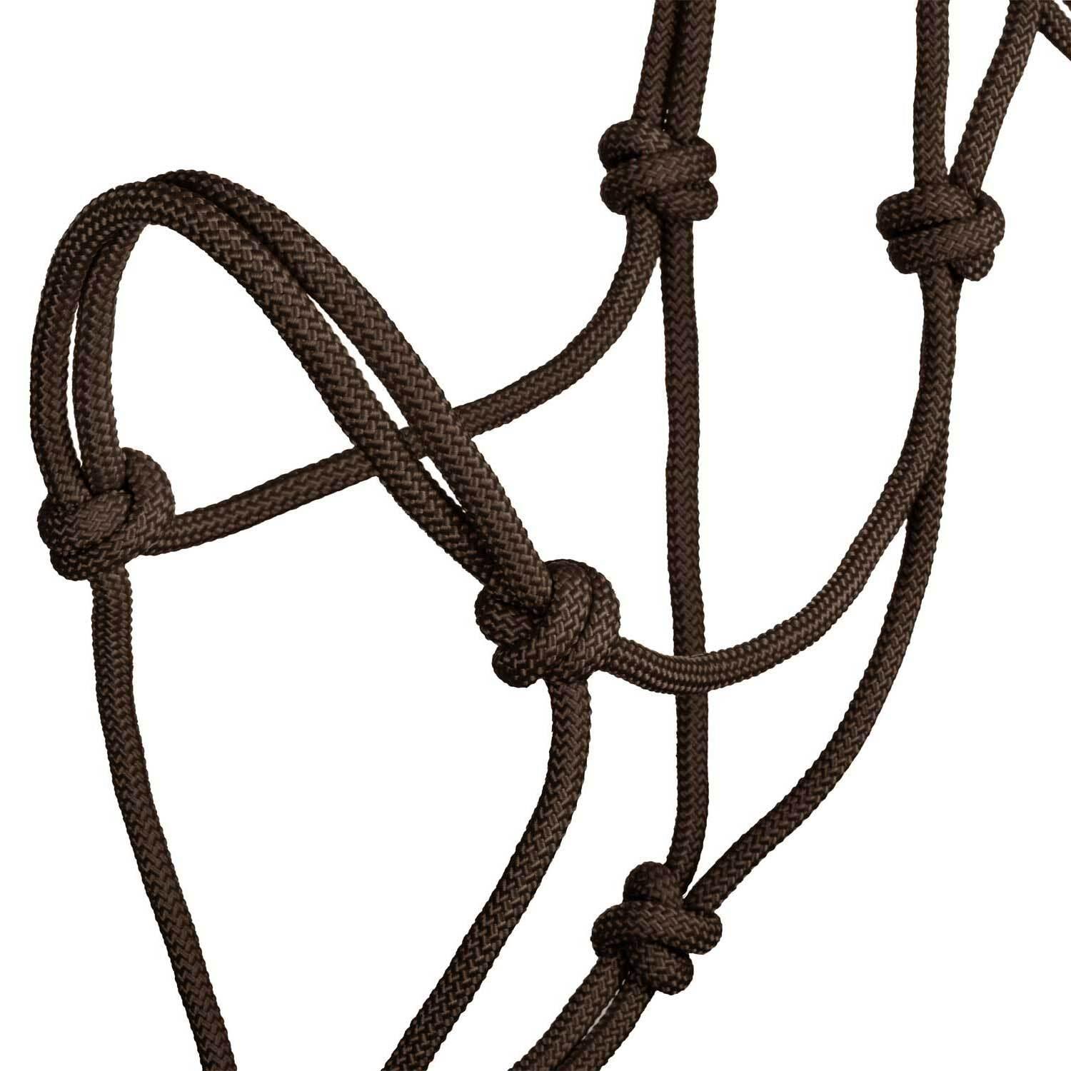 product/p/o/pool-s_ca00129-brown_brown_3.jpg