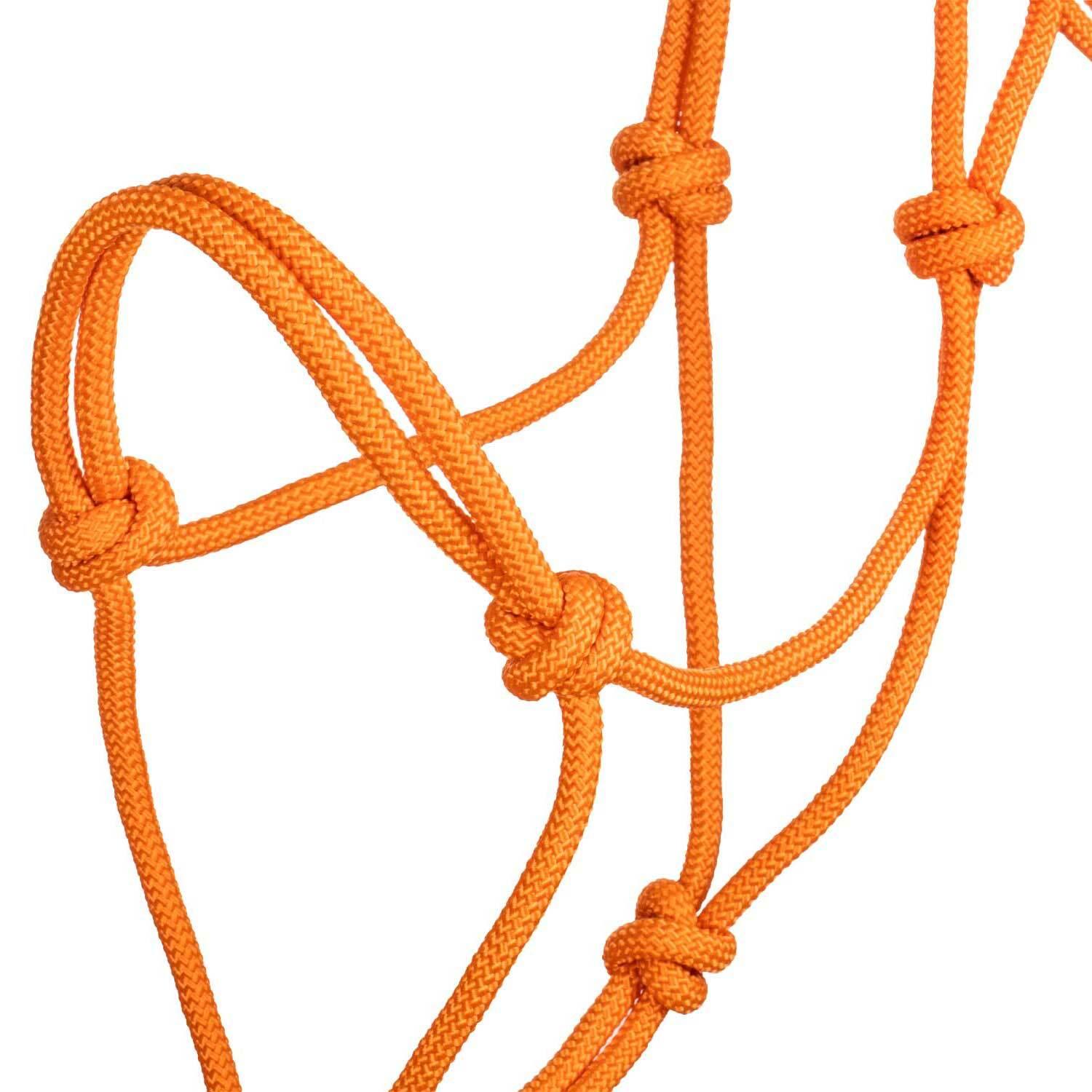 product/p/o/pool-s_ca00129-orange_orange_3.jpg