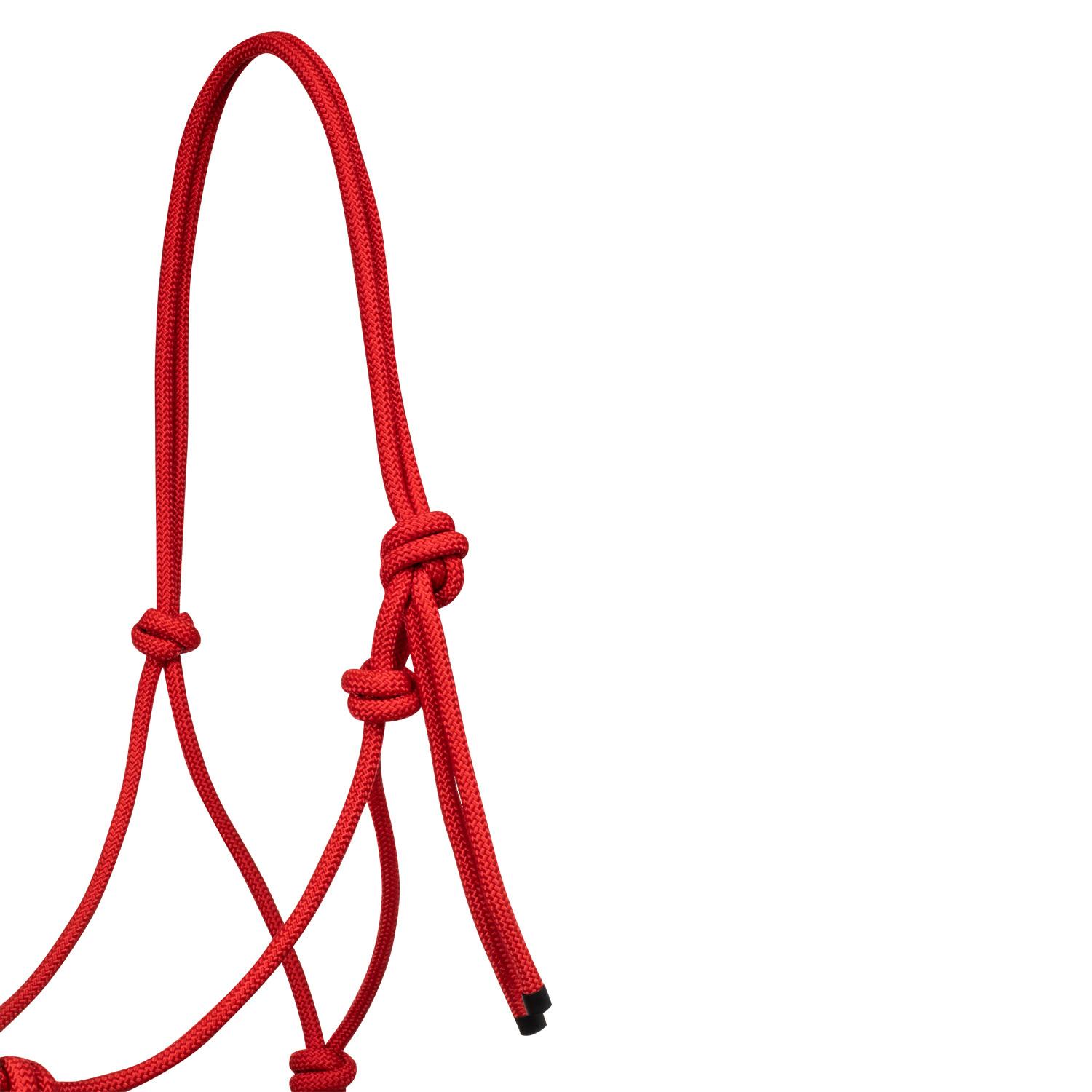 product/p/o/pool-s_plh03000-red_rouge_2.jpg