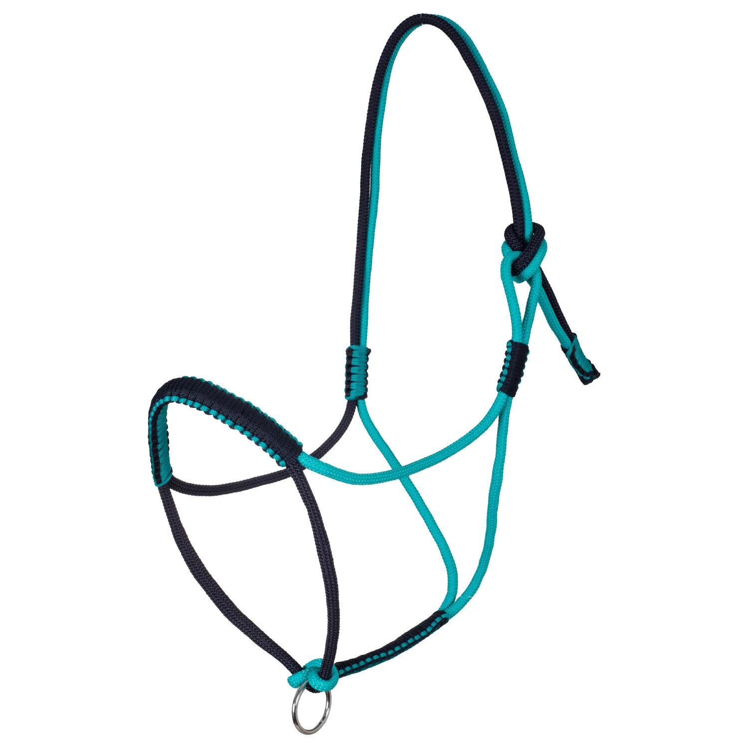 product/p/o/pool-s_plh03003-teal_nv_teal-nv_1.jpg